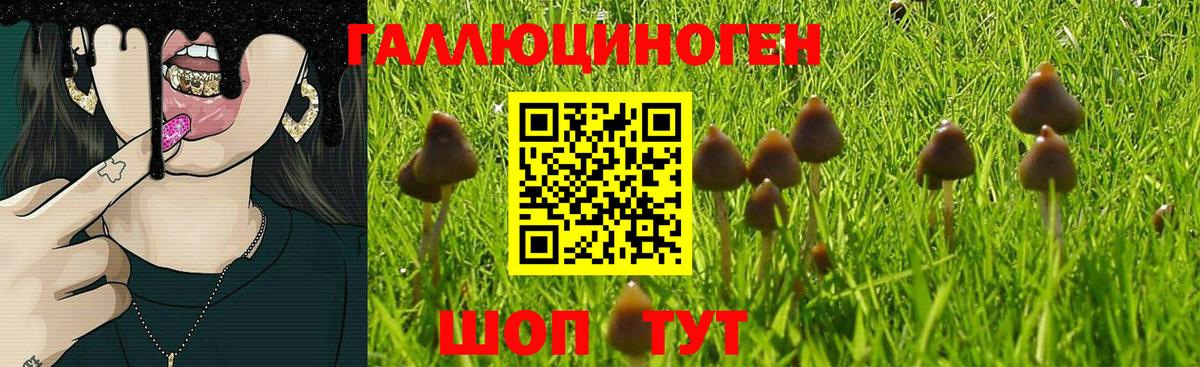 Галлюциногенные грибы мухоморы  Вход с VPN  Пенза 