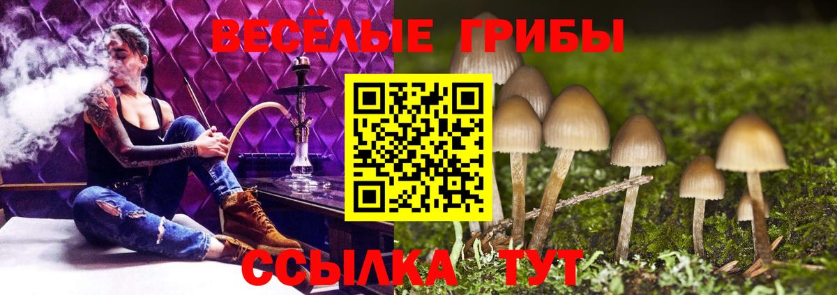 Галлюциногенные грибы MAGIC MUSHROOMS Пенза